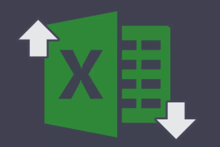 Ginesys introduces Excel import for LR tagging