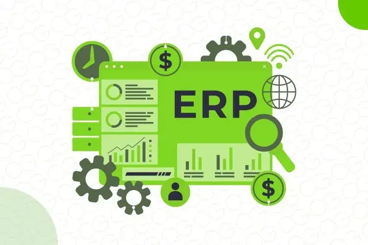 Top 5 Things to Check When Choosing an ERP for a D2C Brand